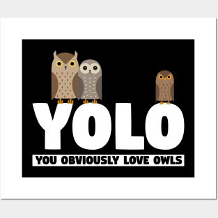 You Obviously Love Owls Posters and Art